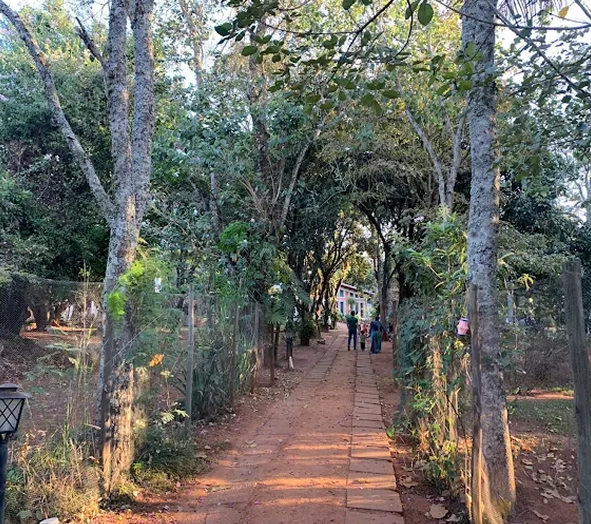 Escola Casa do Bosque